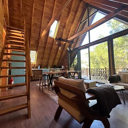 Panurlawoodenhouse Oezel Havuz& Sauna Mavi Extérieur photo