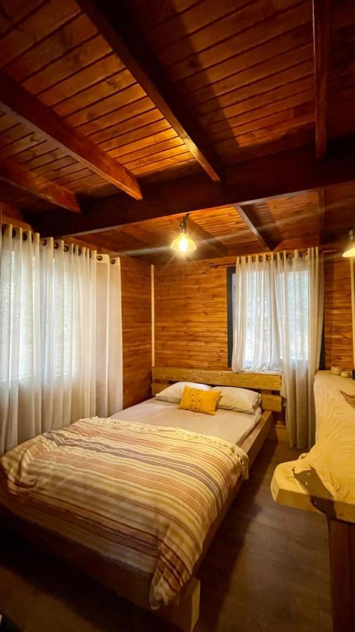 Panurlawoodenhouse Oezel Havuz& Sauna Mavi Extérieur photo