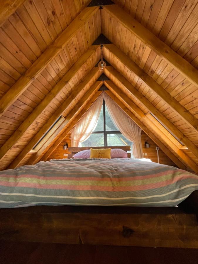 Panurlawoodenhouse Oezel Havuz& Sauna Mavi Extérieur photo