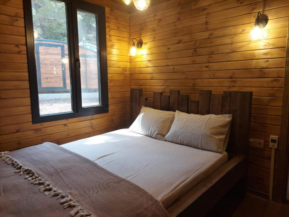 Panurlawoodenhouse Oezel Havuz& Sauna Mavi Extérieur photo