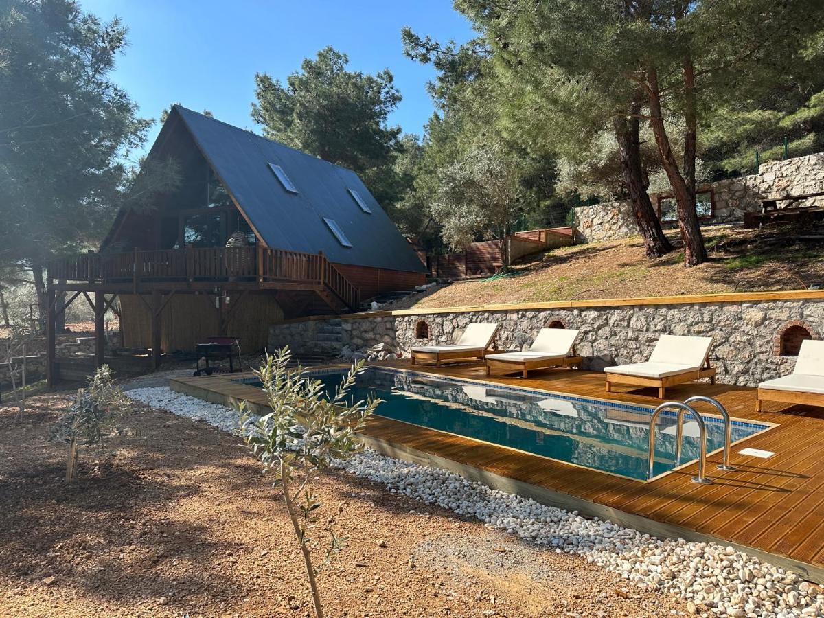 Panurlawoodenhouse Oezel Havuz& Sauna Mavi Extérieur photo