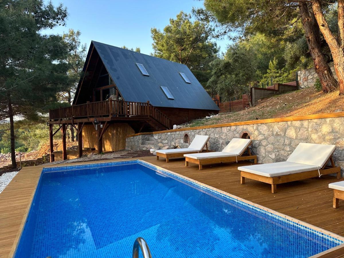 Panurlawoodenhouse Oezel Havuz& Sauna Mavi Extérieur photo