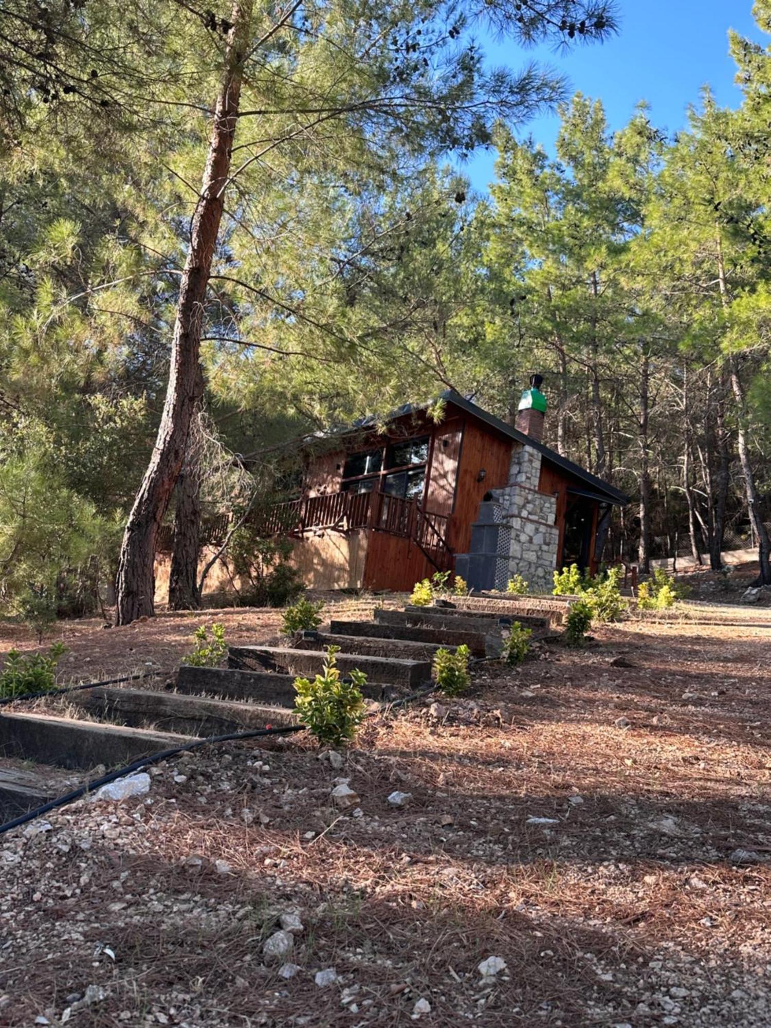 Panurlawoodenhouse Oezel Havuz& Sauna Mavi Extérieur photo
